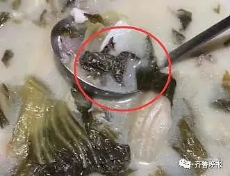 江苏女子吃酸菜鱼吃出一整只癞蛤蟆，餐厅：可能是被鱼误吞食（视频/图） - 2