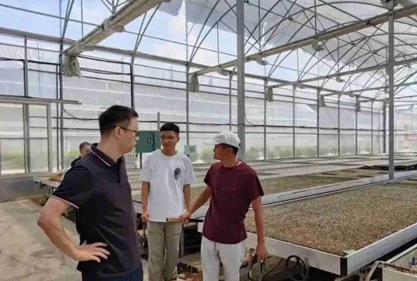 马云（右一）参观温室大棚。（微博@高铁的列车）