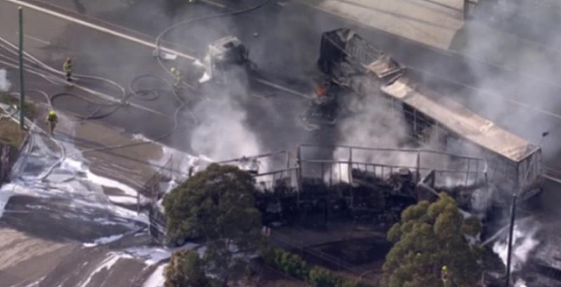悉尼两货车相撞引发大火！现场冒出大量浓烟，数百居民紧急疏散，60名消防员出动（视频/组图） - 5