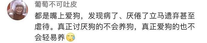 金毛犬“失宠”后拴楼道不给吃喝，邻居喂还被主人警告（视频/组图） - 4