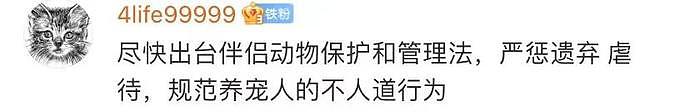 金毛犬“失宠”后拴楼道不给吃喝，邻居喂还被主人警告（视频/组图） - 10