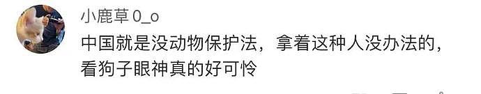 金毛犬“失宠”后拴楼道不给吃喝，邻居喂还被主人警告（视频/组图） - 18