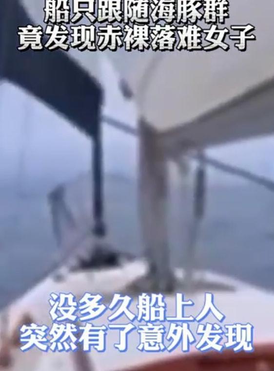 赤裸女子在海中遇险12小时，海豚引导船只救人，海豚真的会救人？（视频/组图） - 1