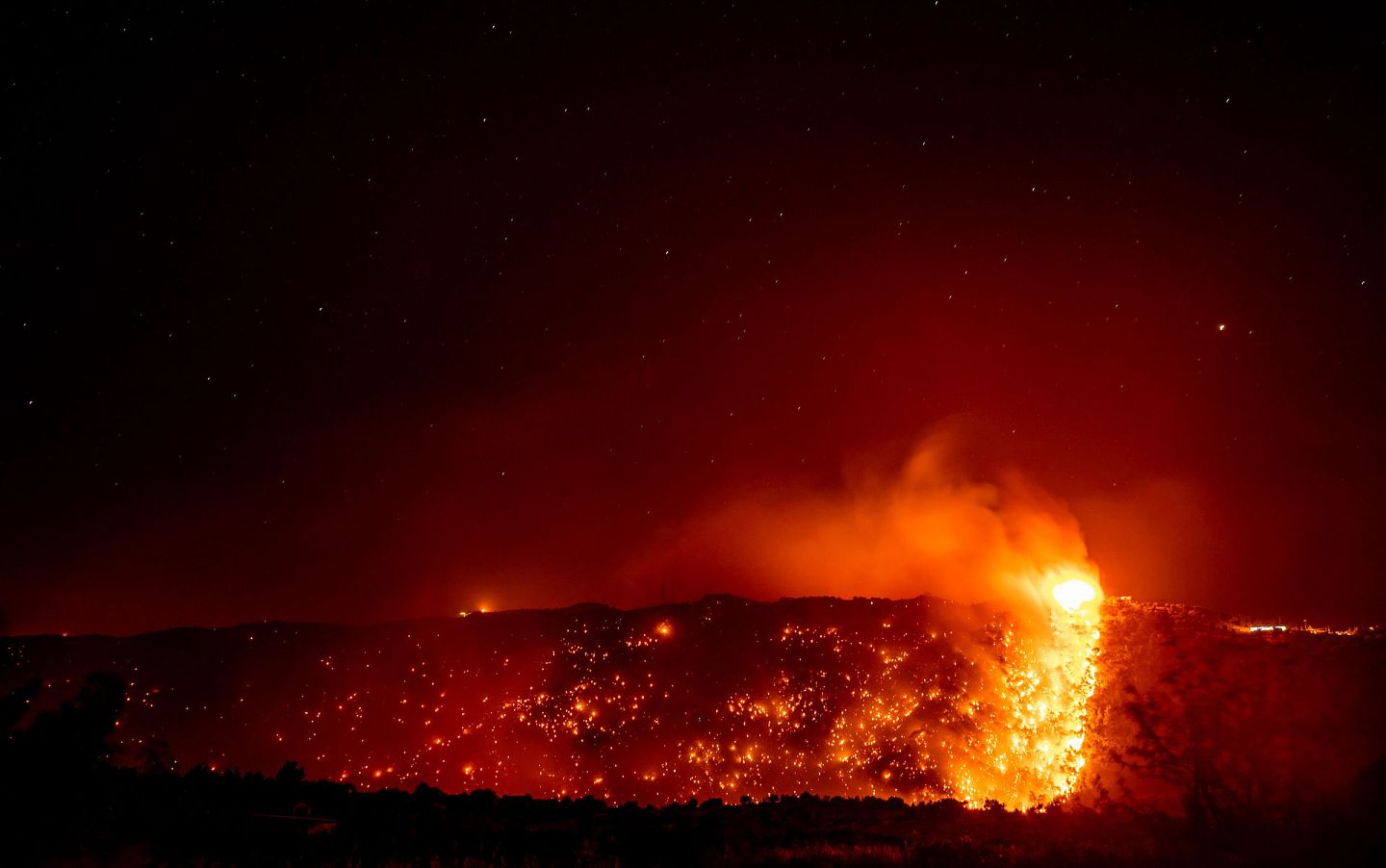 近年的山火，摧毁了多个森林。(Getty)