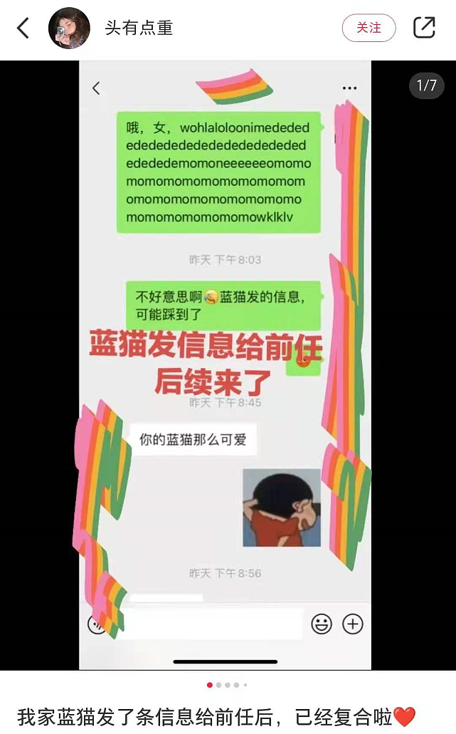 【宠物】我家蓝猫大晚上给我前任发消息，第二天……我们复合了！（视频/组图） - 2