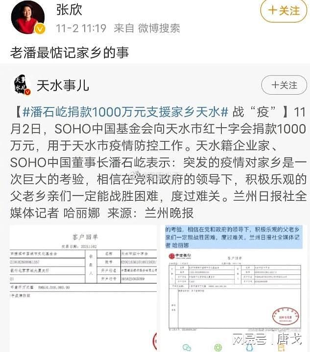 SOHO中国被查，潘石屹向红十字会捐款1000万（组图） - 3