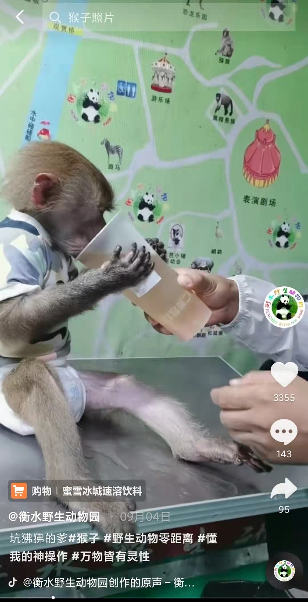 河北衡水野生动物园发布幼猴抽烟视频，园方：摆拍劝大家不要吸烟