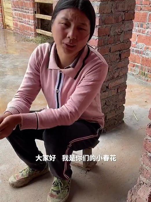 网红牛爱芳的小春花道歉：承认欺骗了大家，粉丝开始集体取消关注（组图） - 2