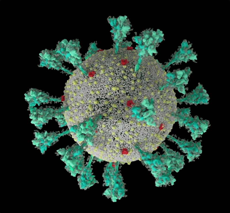 全球首个口服抗新冠病毒药物获批，可治疗中轻度新冠患者（组图） - 2