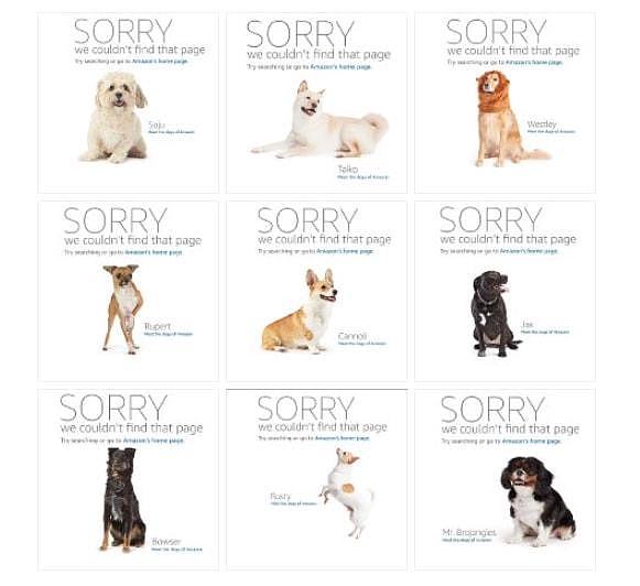 3000中国卖家刷单被亚马逊封号：最怕说sorry的狗（组图） - 2