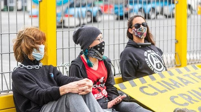 新西兰环保人士“另类抗议”！脖子拴恒天然大门，抨击其运营模式有害（组图） - 3