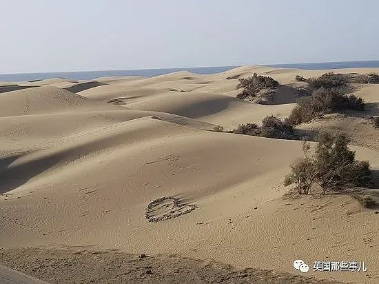 太多人去保护区露天啪啪啪，科学家发论文警告（组图） - 9