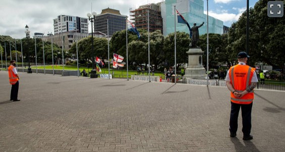 新西兰爆发大规模反封锁游行，抗议者欲突破国会大门，要求政府撤销疫情限制（组图） - 7