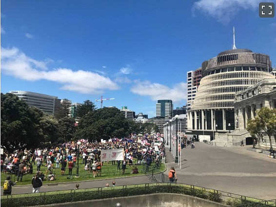 新西兰爆发大规模反封锁游行，抗议者欲突破国会大门，要求政府撤销疫情限制（组图） - 8