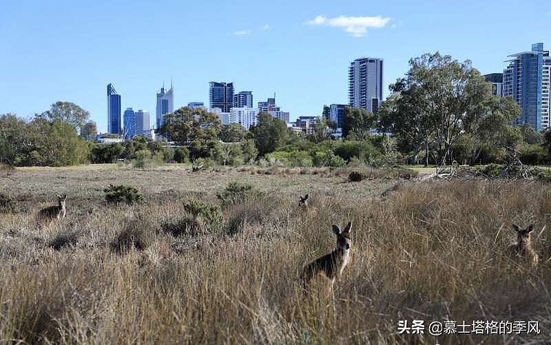 2021全球最宜居城市排行榜TOP10，澳洲独占4席，奥克兰居首位（租图） - 20