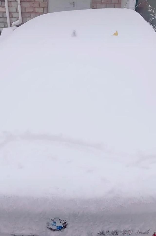央视主持人李思思晒初雪，打扮低调朴素，意外露富开几十万豪车（组图） - 3
