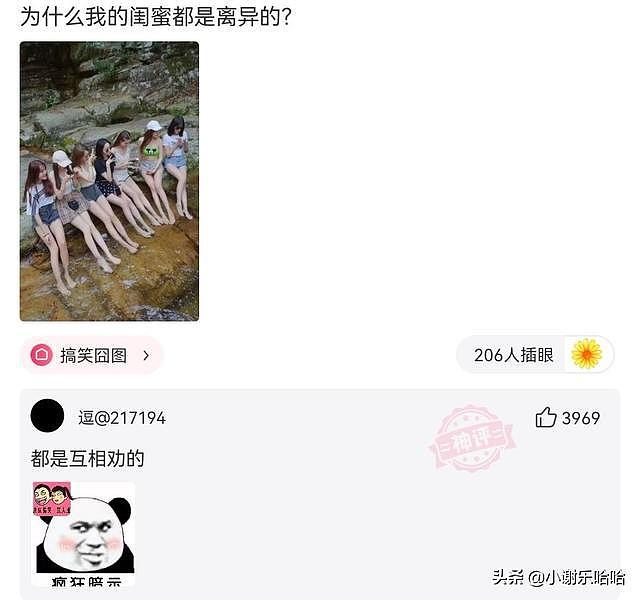 【爆笑】这恐怕是史上最强伴娘团吧，谁挑选的？神评才是亮点啊（组图） - 6