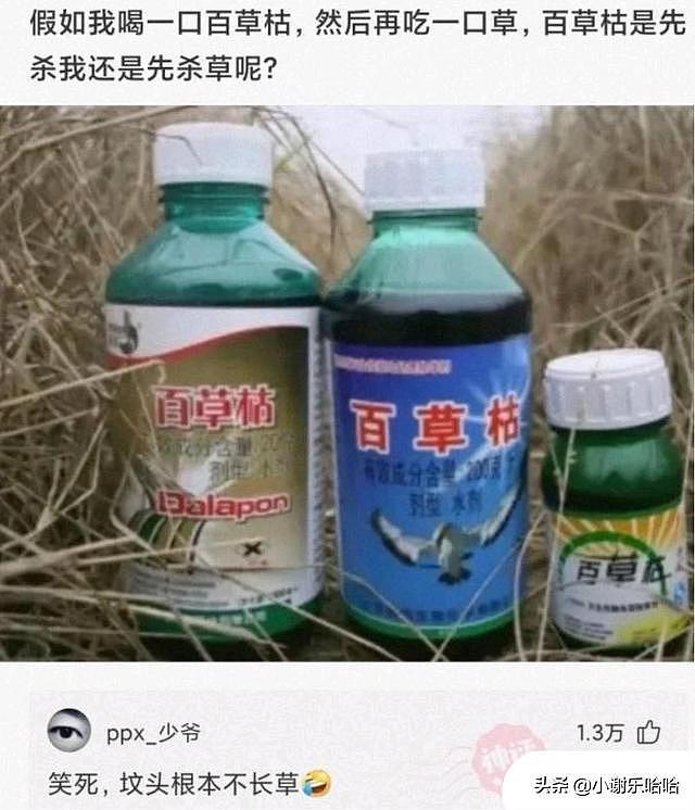 【爆笑】这恐怕是史上最强伴娘团吧，谁挑选的？神评才是亮点啊（组图） - 20