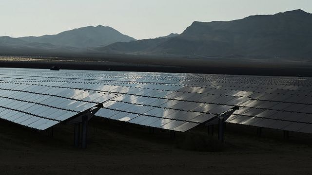 美国加州尼普顿一处太阳能农场上的光伏板（16/8/2021）