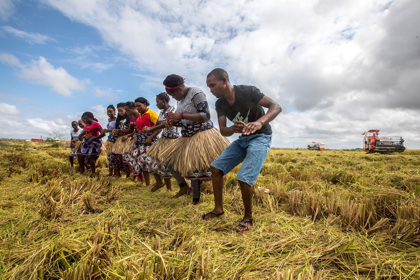 农业才是尿素最大的用途，全球超过一半的尿素用作农业化肥，尿素危机影响最大的也是农业。图为2019年4月7日，中非最大农业合作项目莫桑比克万宝莫桑农业园，农户在水稻收割现场载歌载舞庆祝丰收。（新华社）