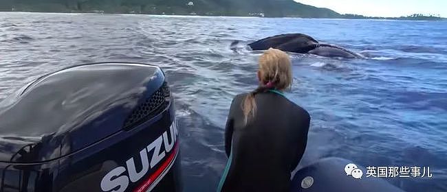她被鲸鱼救了一命，一年后，鲸鱼竟然还来看她了...（组图） - 13