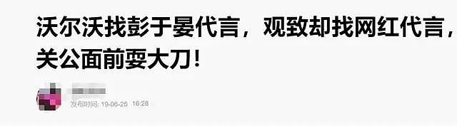 烧光百亿，敢从宝马挖人！中国后台最硬神车，竟惨到卖厂还债？（组图） - 26