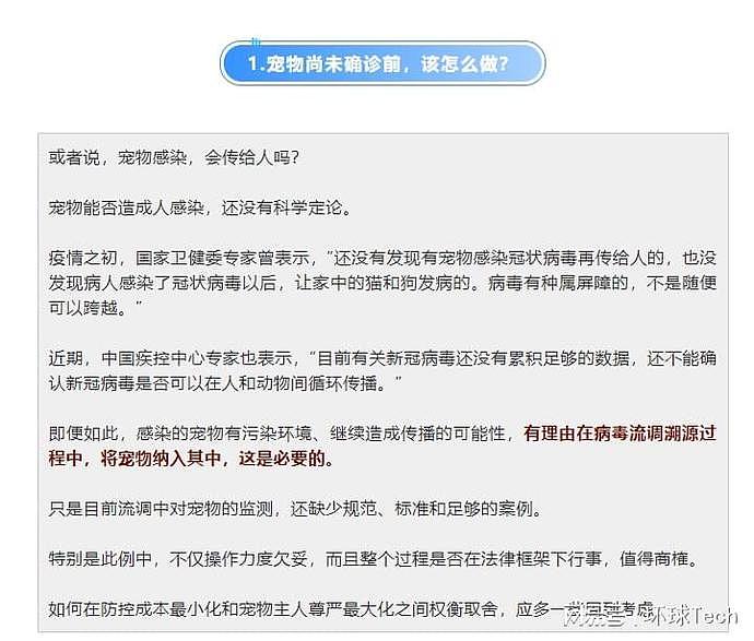 央视网评“隔离宠物狗被扑杀”，别拿别人的宠物当畜生（组图） - 2