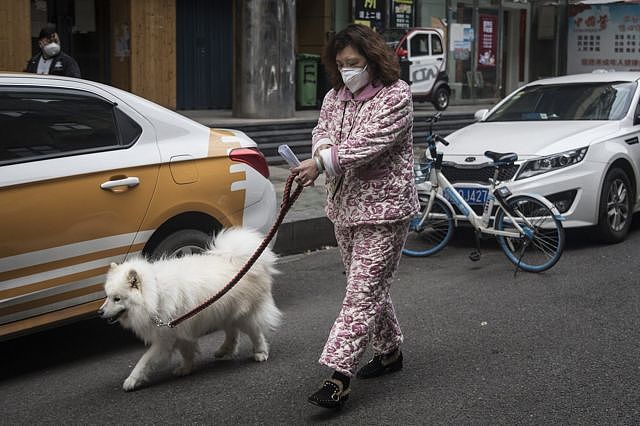 一名武汉市民在遛狗。