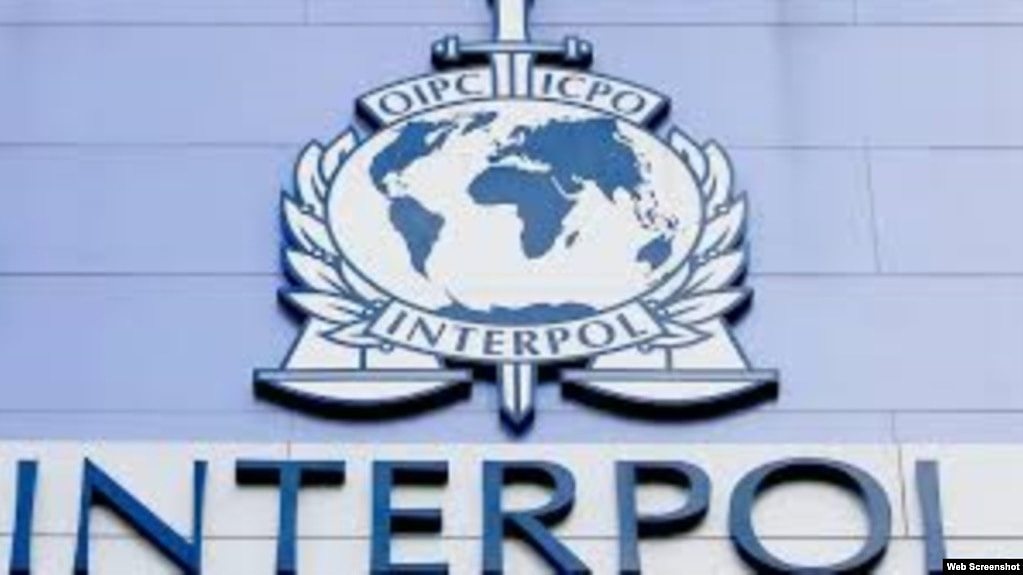 国际刑警组织徽标