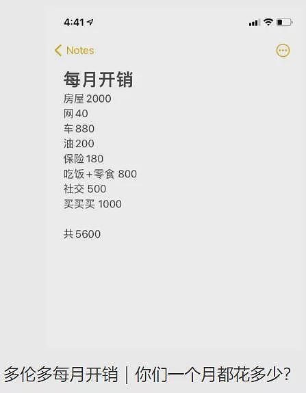 华人晒一家三口账单，每月开销高达$1万！钱究竟花在哪儿了？（组图） - 3