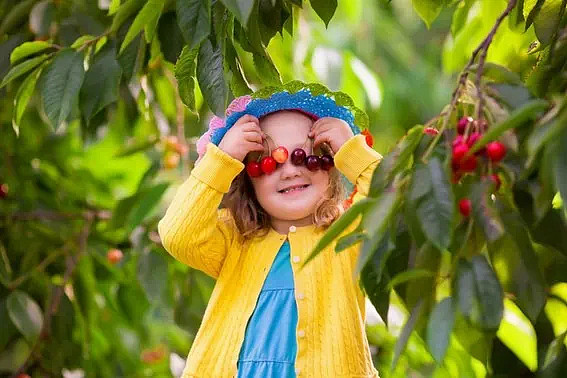 Cherry Farms: Tips and Tricks for Visiting with Young Kids