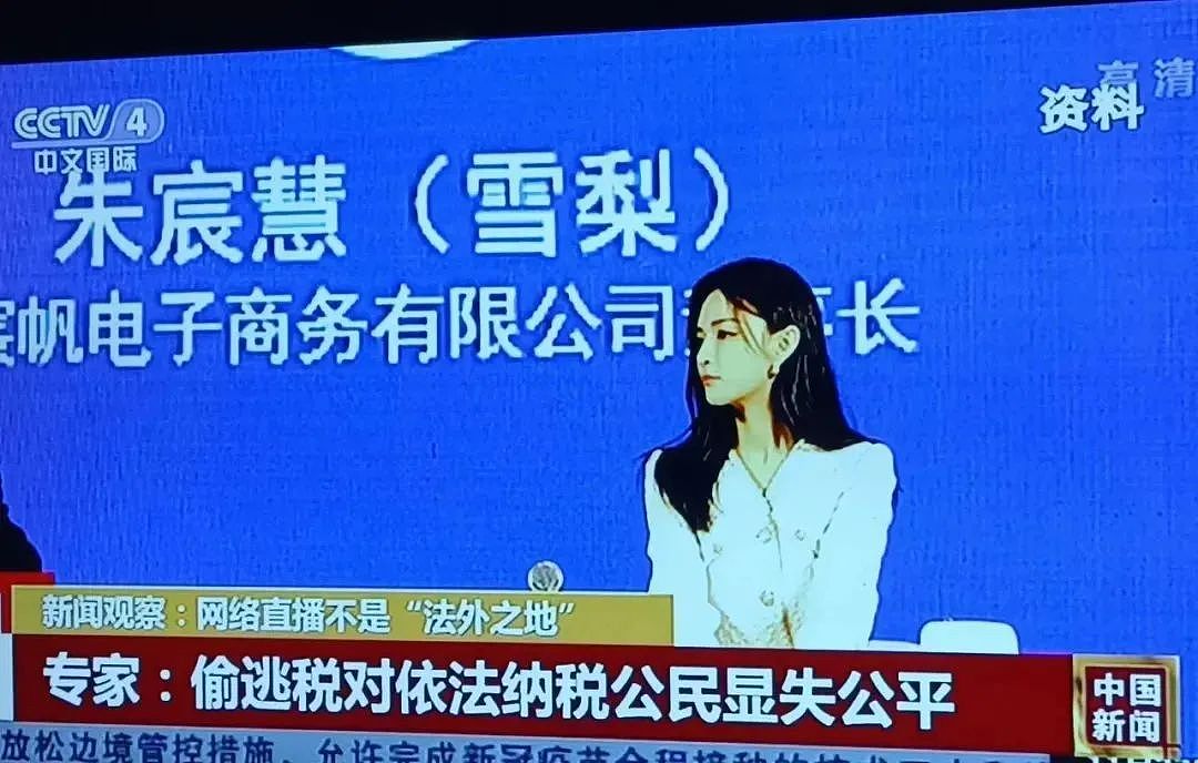 百亿身价女网红，曾获央视力捧，现逃税被点名，道歉信照抄无诚意（组图） - 6