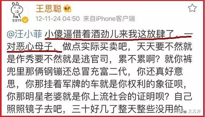 王思聪2次爆料大S被家暴，她和老公综艺秀恩爱是为了钱？（组图） - 74