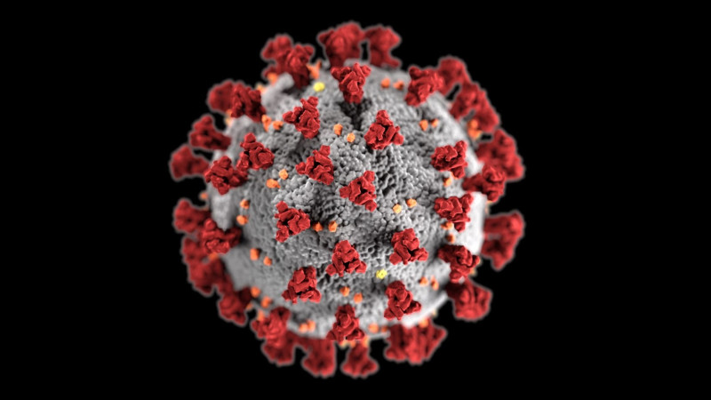 skynews-spike-protein-coronavirus_4983742.jpg,0