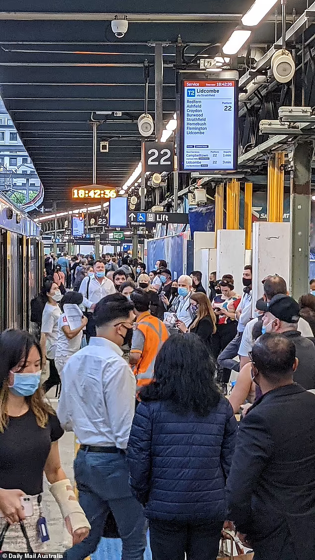 悉尼火车站遭闪电袭击，列车停滞交通延误！场面一片“混乱”（组图） - 4