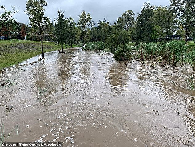 Severe flood warnings have been issued along the east coast of Australia as a once-in-100 year storm sweeps across the country (pictured, Inverell in northern NSW)