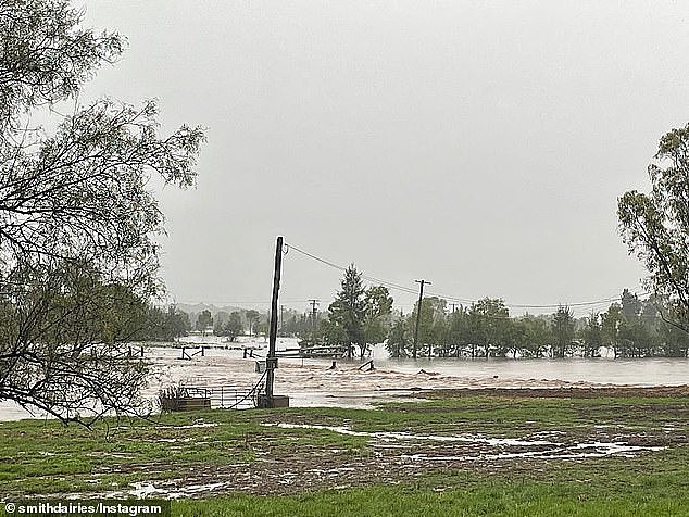 Raging floodwaters inundated Scone in Upper Hunter Shire, NSW, as rain lashed the state on Friday