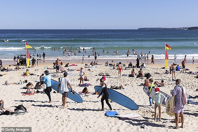Professor Bryan WIlliams has warned Australia now faces a surge in Covid case numbers as restrictions are relaxed, borders open and families gather over Christmas (pictured, crowds of Sydneysiders enjoy the beach at Bondi after Covid restrictions were lifted)