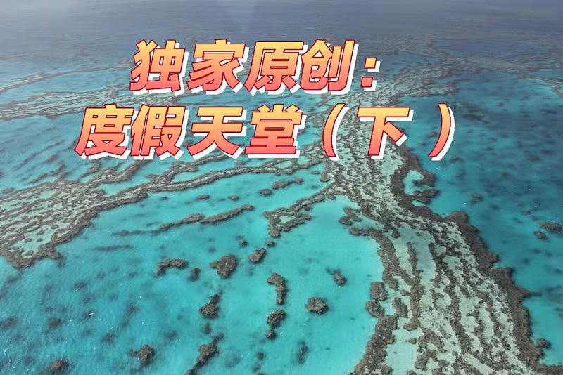 独家原创：度假天堂汉密尔顿岛（下） - 1