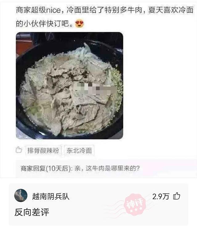 【爆笑】丈母娘单身和我相差10岁，有必要把她接过来一起住吗？哈哈哈太内涵了（组图） - 13