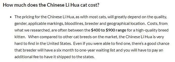 【宠物】被CFA认证除名的中国狸花猫，到底有多优秀？（组图） - 1