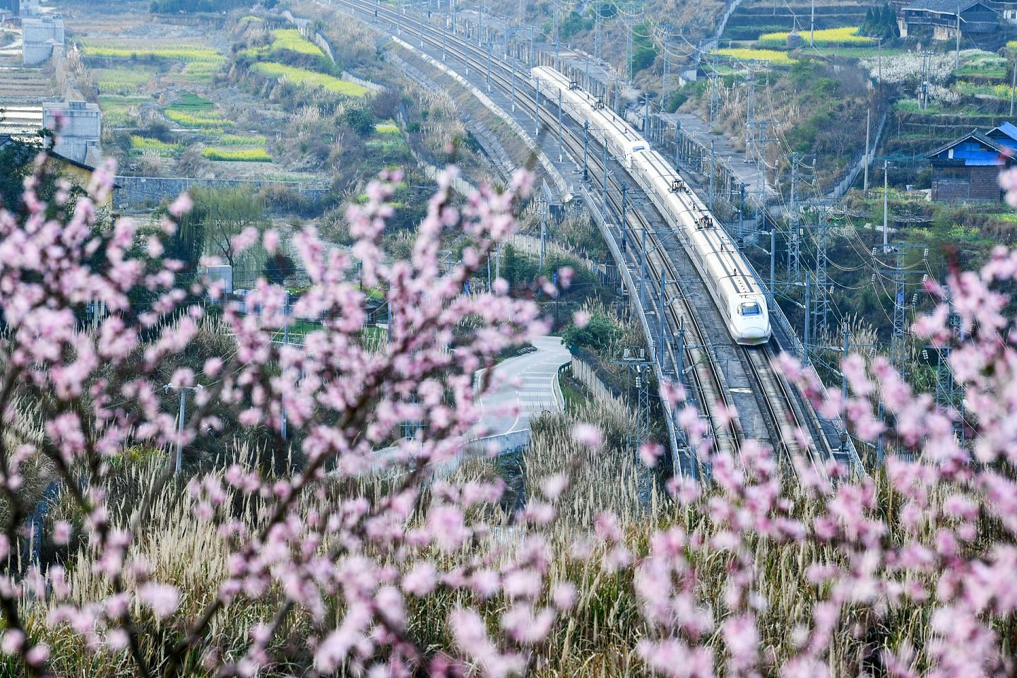 2021年2月23日，一列动车组列车在贵广高铁贵州省从江县洛香镇段附近行驶。（新华社）