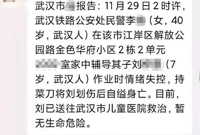 网传武汉一家长辅导作业时情绪突然失控！持菜刀砍伤7岁儿子后，自杀身亡（视频/组图） - 2