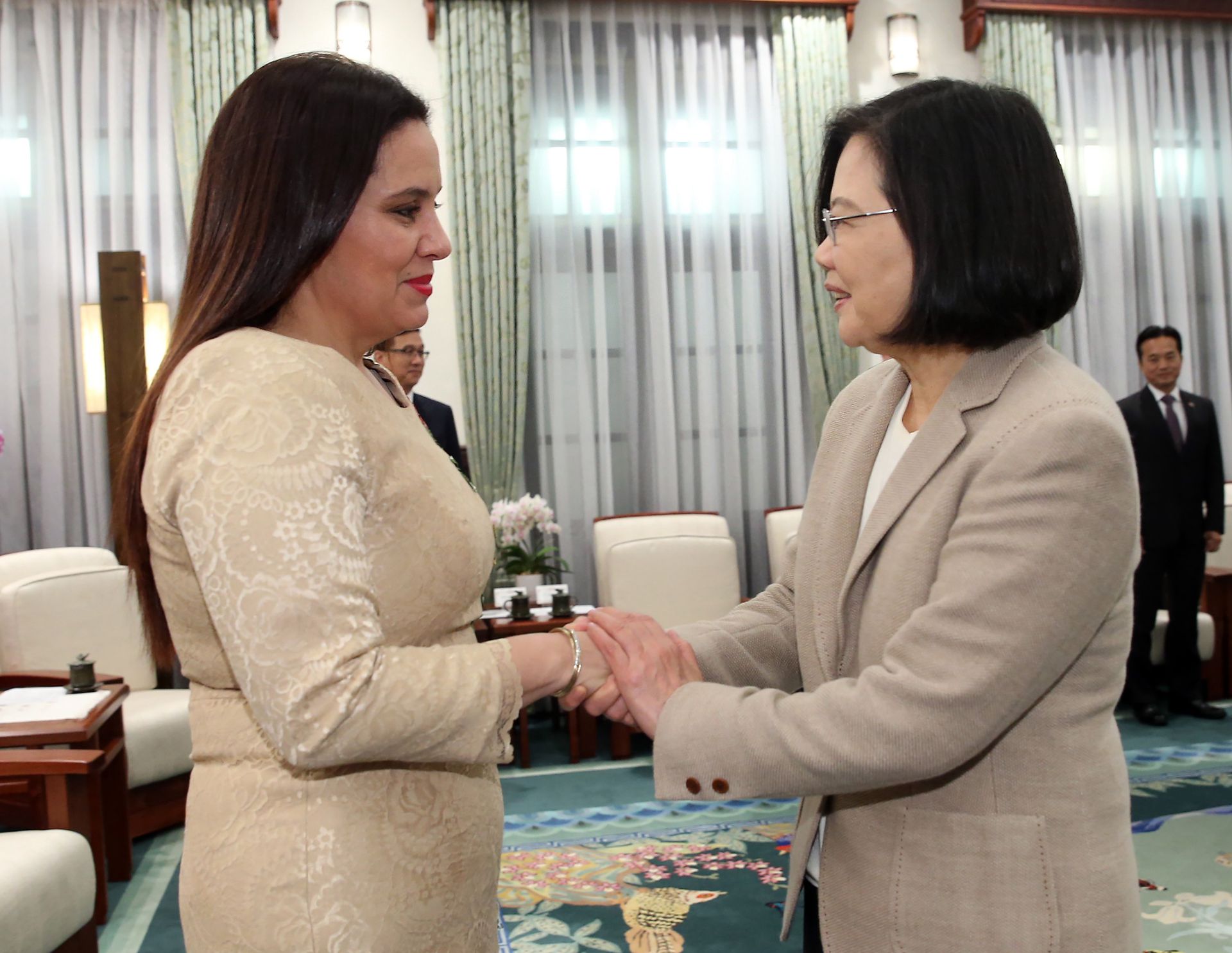 2019年4月3日，蔡英文在台湾总统府与洪都拉斯第一夫人叶安娜握手互动。（中央社）