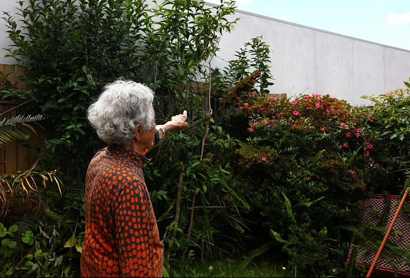澳华人区民宅竖起近4米高墙引发邻里矛盾！98岁华人老妪：隔壁朝我家扔垃圾（组图） - 3