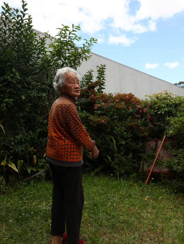 Eastwood民宅竖起近4米高墙，引发邻里矛盾！98岁华人老妪：隔壁朝我家扔垃圾