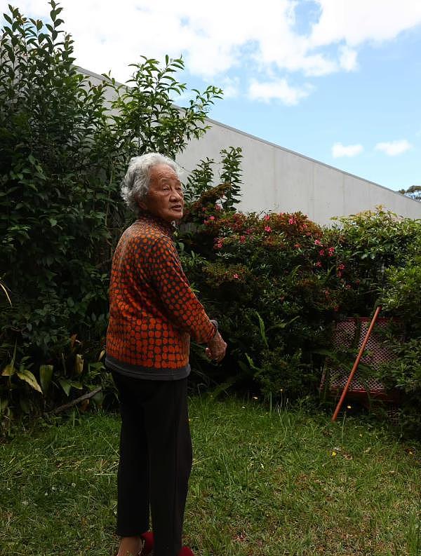 澳华人区民宅竖起近4米高墙引发邻里矛盾！98岁华人老妪：隔壁朝我家扔垃圾（组图） - 5