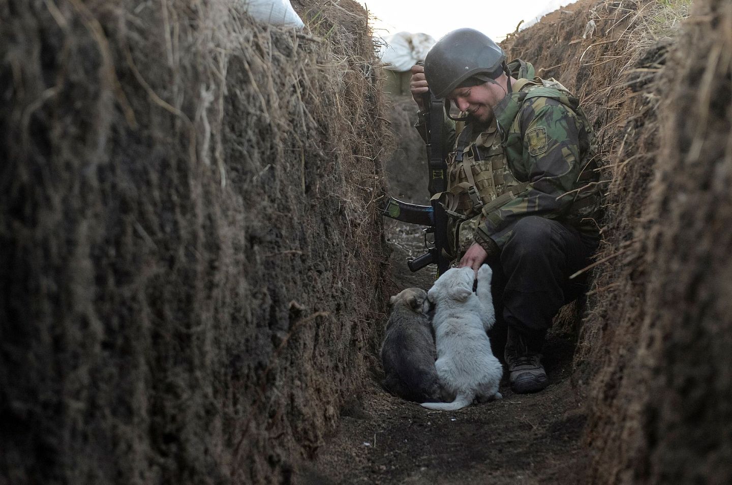2021年4月10日，乌克兰顿涅茨克地区，乌克兰武装部队军人Volodymyr在与亲俄叛军分离线上的战斗位置上与小狗玩耍。（Reuters）