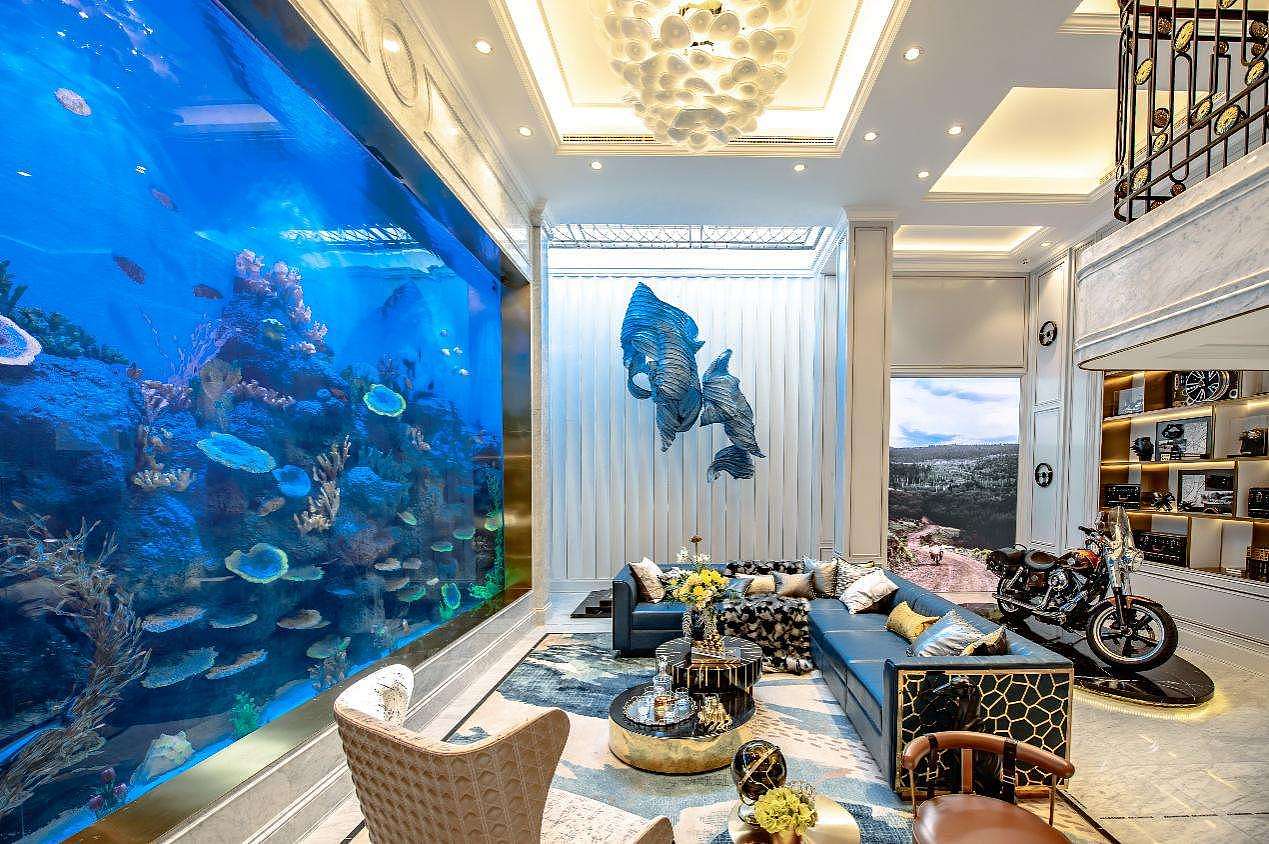 富豪圈都轰动了！北京某业主，把“海底世界”装进了别墅地下室