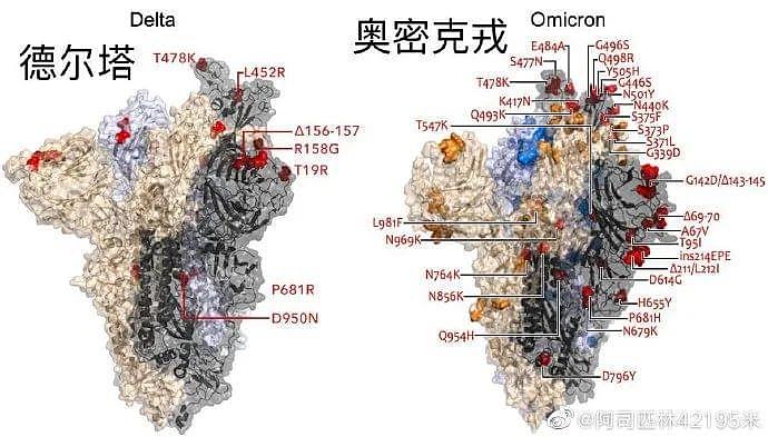 ​科学家对奥密克戎的最新判断：情况有点不妙（组图） - 1